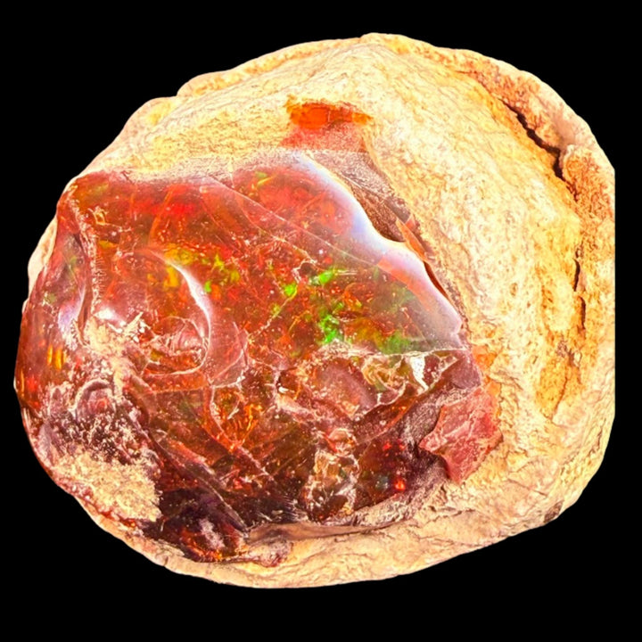 52 Gram AAA Quality Natural Ethiopian Fire Opal – Dominant Deep Cherry Red, Neon Orange & Electric Green Fire | One-of-a-Kind Collector Fire Opal