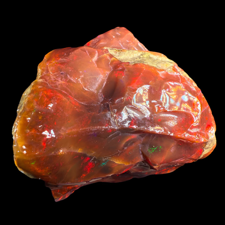 155.6 gr Natural Ethiopian Welo Water Opal – Dominant Fiery Red, Neon Orange & Electric Green Fire – Raw Water Opal – One-of-a-Kind Collector Grade