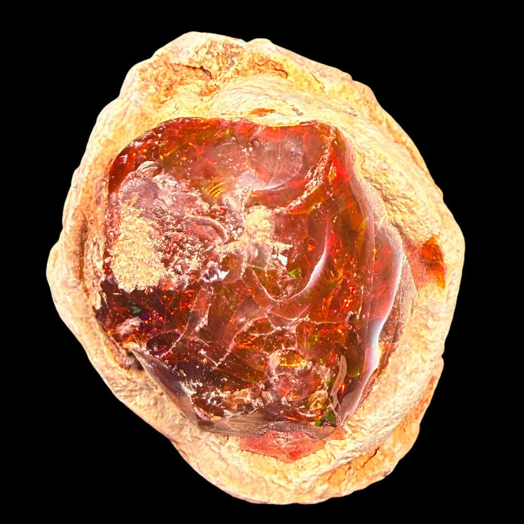 52 Gram AAA Quality Natural Ethiopian Fire Opal – Dominant Deep Cherry Red, Neon Orange & Electric Green Fire | One-of-a-Kind Collector Fire Opal