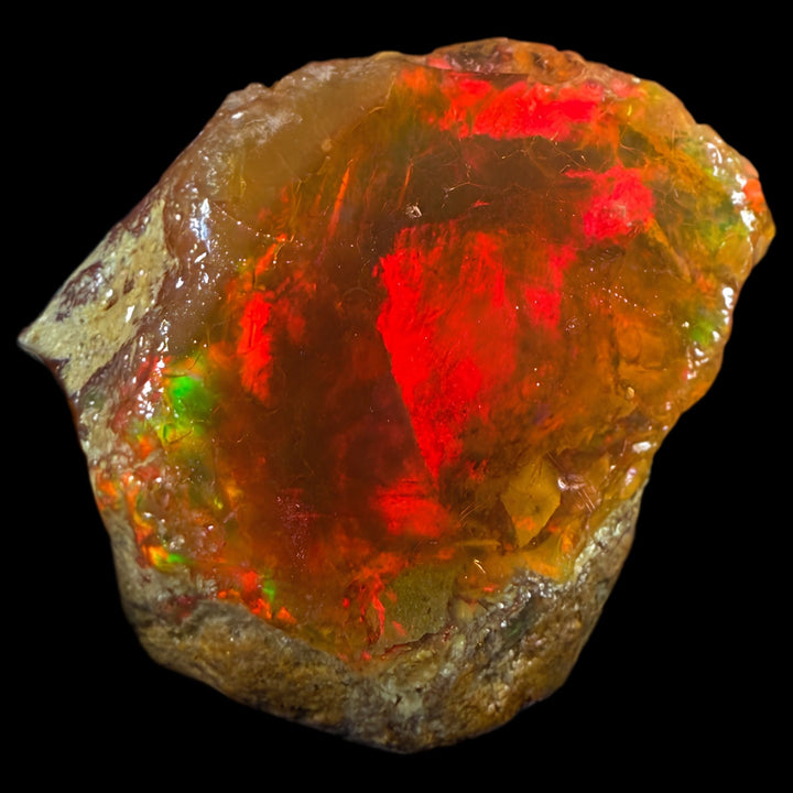 19.04 gr Natural Ethiopian Welo Water Opal – Dominant Fiery Red, Neon Green & Honey Fire – Raw Water Opal – One-of-a-Kind Collector Grade