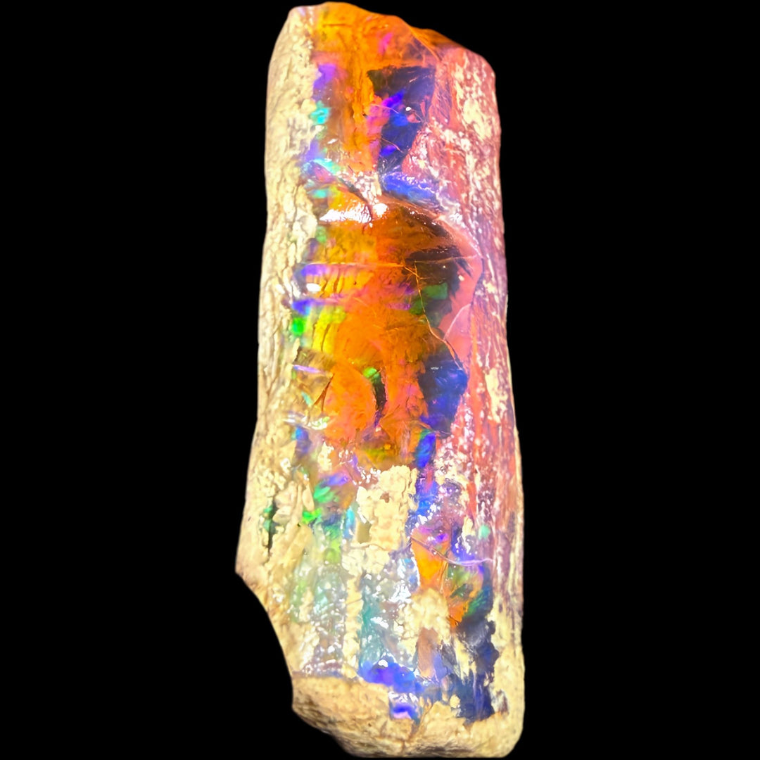42.6 gr Natural Ethiopian Welo Water Opal – Dominant Electric Blue, Fiery Orange & Neon Green Fire – Raw Water Opal – One-of-a-Kind Collector Grade