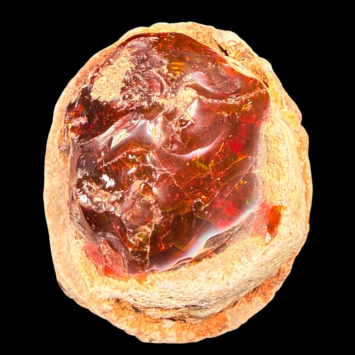 52 Gram AAA Quality Natural Ethiopian Fire Opal – Dominant Deep Cherry Red, Neon Orange & Electric Green Fire | One-of-a-Kind Collector Fire Opal