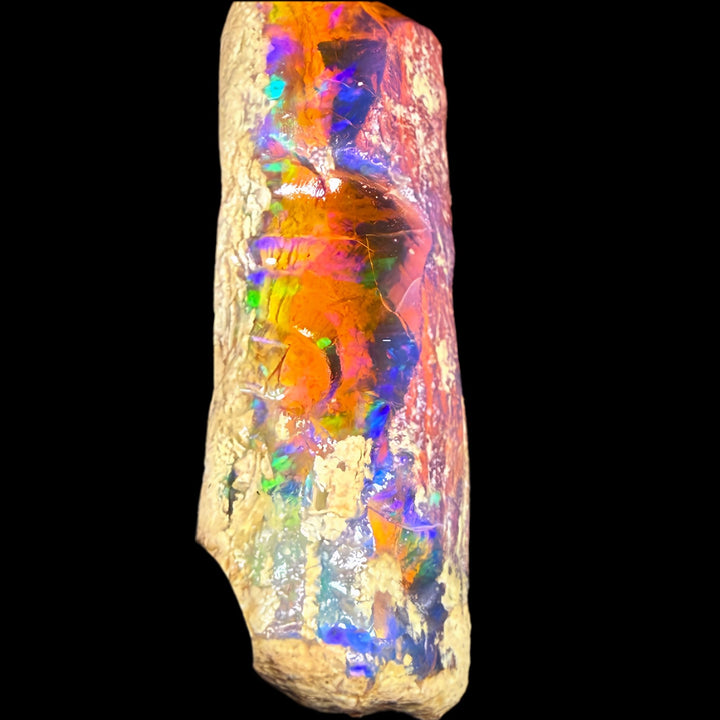 42.6 gr Natural Ethiopian Welo Water Opal – Dominant Electric Blue, Fiery Orange & Neon Green Fire – Raw Water Opal – One-of-a-Kind Collector Grade