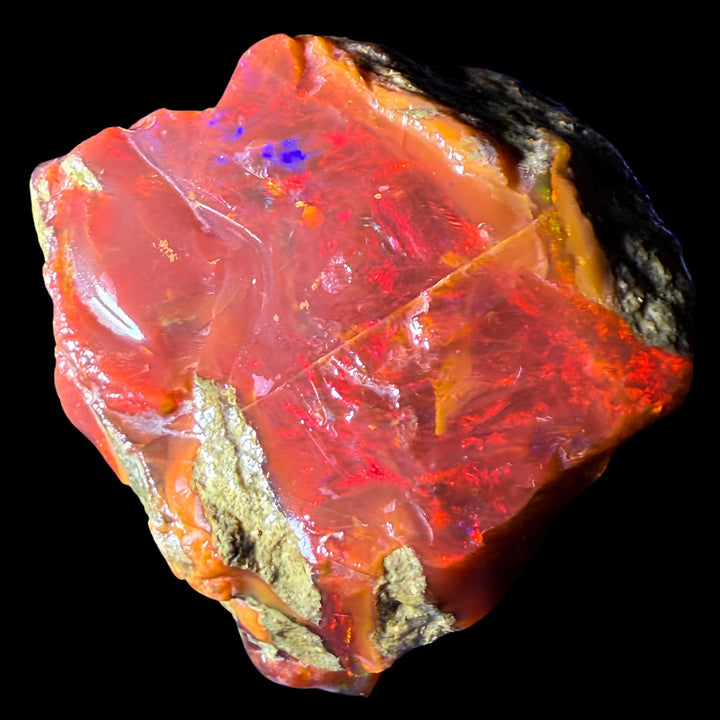 155.6 gr Natural Ethiopian Welo Water Opal – Dominant Fiery Red, Neon Orange & Electric Green Fire – Raw Water Opal – One-of-a-Kind Collector Grade