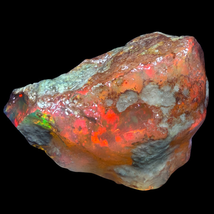 7.9 gr Natural Ethiopian Welo Water Opal – Dominant Fiery Red, Neon Orange & Electric Green Fire – Raw Water Opal – One-of-a-Kind Collector Grade