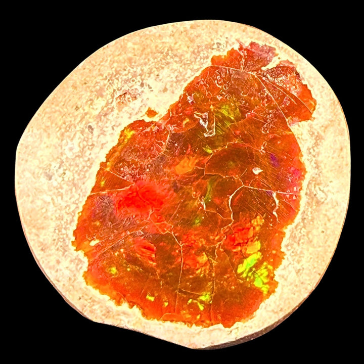 17.6 Gram AAA Quality Natural Ethiopian Fire Opal – Dominant Fiery Red, Neon Orange & Electric Green Fire | One-of-a-Kind Collector Fire Opal