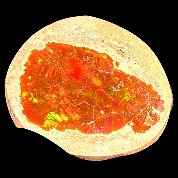 17.6 Gram AAA Quality Natural Ethiopian Fire Opal – Dominant Fiery Red, Neon Orange & Electric Green Fire | One-of-a-Kind Collector Fire Opal