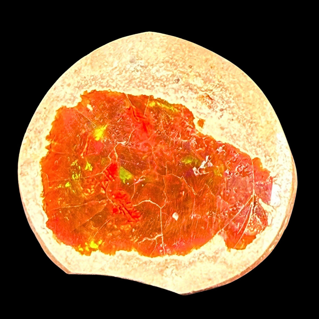 17.6 Gram AAA Quality Natural Ethiopian Fire Opal – Dominant Fiery Red, Neon Orange & Electric Green Fire | One-of-a-Kind Collector Fire Opal