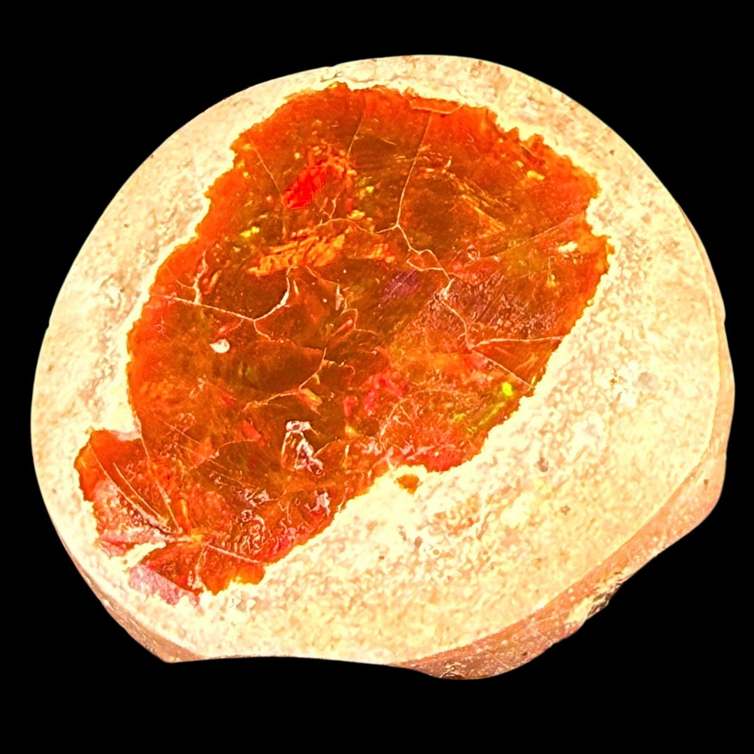17.6 Gram AAA Quality Natural Ethiopian Fire Opal – Dominant Fiery Red, Neon Orange & Electric Green Fire | One-of-a-Kind Collector Fire Opal