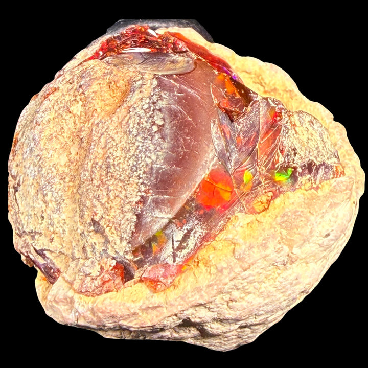 43.5 Gram AAA Quality Natural Ethiopian Fire Opal – Dominant Deep Red, Fiery Orange & Neon Green Fire | One-of-a-Kind Collector Fire Opal