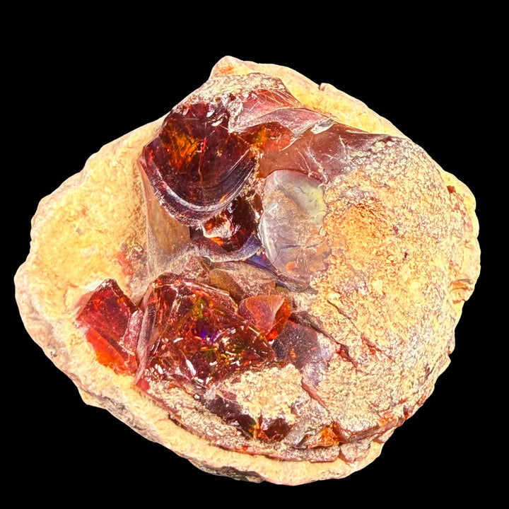 43.5 Gram AAA Quality Natural Ethiopian Fire Opal – Dominant Deep Red, Fiery Orange & Neon Green Fire | One-of-a-Kind Collector Fire Opal