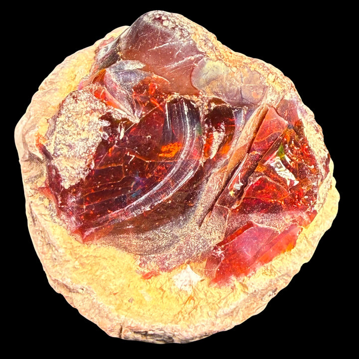 43.5 Gram AAA Quality Natural Ethiopian Fire Opal – Dominant Deep Red, Fiery Orange & Neon Green Fire | One-of-a-Kind Collector Fire Opal