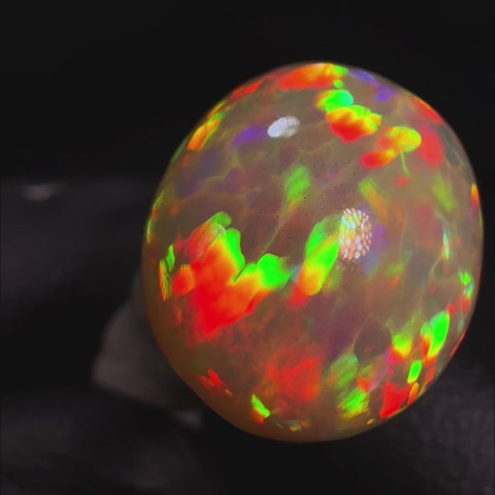 11.17ct AAA quality Natural Ethiopian Welo Opal – Oval Cabochon – Neon Green, Fiery Orange & Electric Red Fire – Broadflash Honeycomb Pattern – AAA Collector Grade