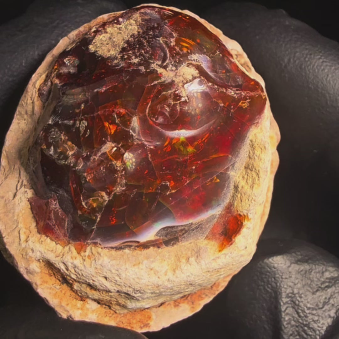52 Gram AAA Quality Natural Ethiopian Fire Opal – Dominant Deep Cherry Red, Neon Orange & Electric Green Fire | One-of-a-Kind Collector Fire Opal