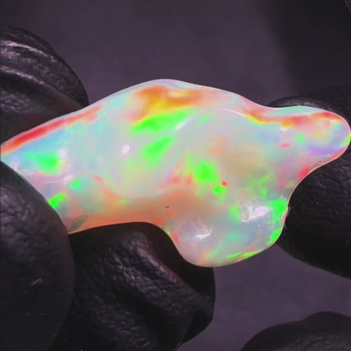 9.55 Ct AAA Quality Natural Ethiopian Welo Opal Nugget Parcel – Neon Green, Fiery Orange & Cherry Red Fire – Ribbon Rolling Flash Pattern – AAA Collector Grade