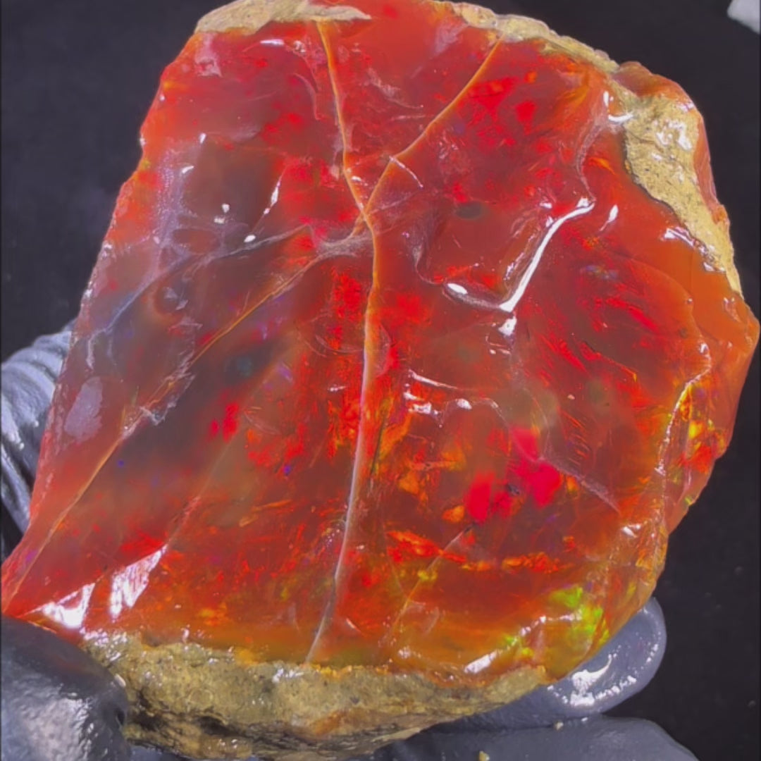 155.6 gr Natural Ethiopian Welo Water Opal – Dominant Fiery Red, Neon Orange & Electric Green Fire – Raw Water Opal – One-of-a-Kind Collector Grade