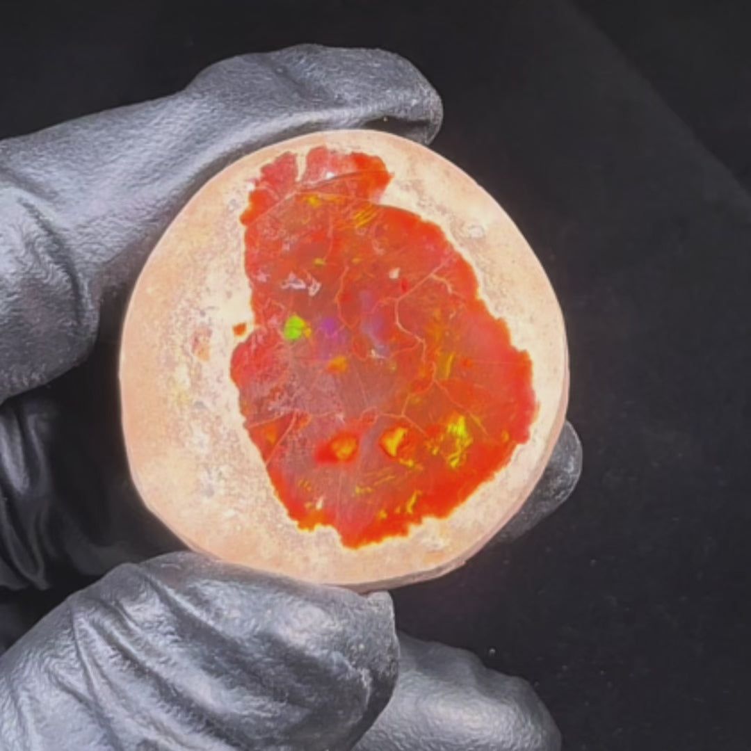 17.6 Gram AAA Quality Natural Ethiopian Fire Opal – Dominant Fiery Red, Neon Orange & Electric Green Fire | One-of-a-Kind Collector Fire Opal