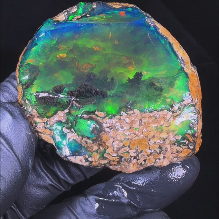 131.7 gr Natural Ethiopian Welo Water Opal – Dominant Neon Green & Electric Blue Fire – Raw Water Opal Specimen – Collector Grade
