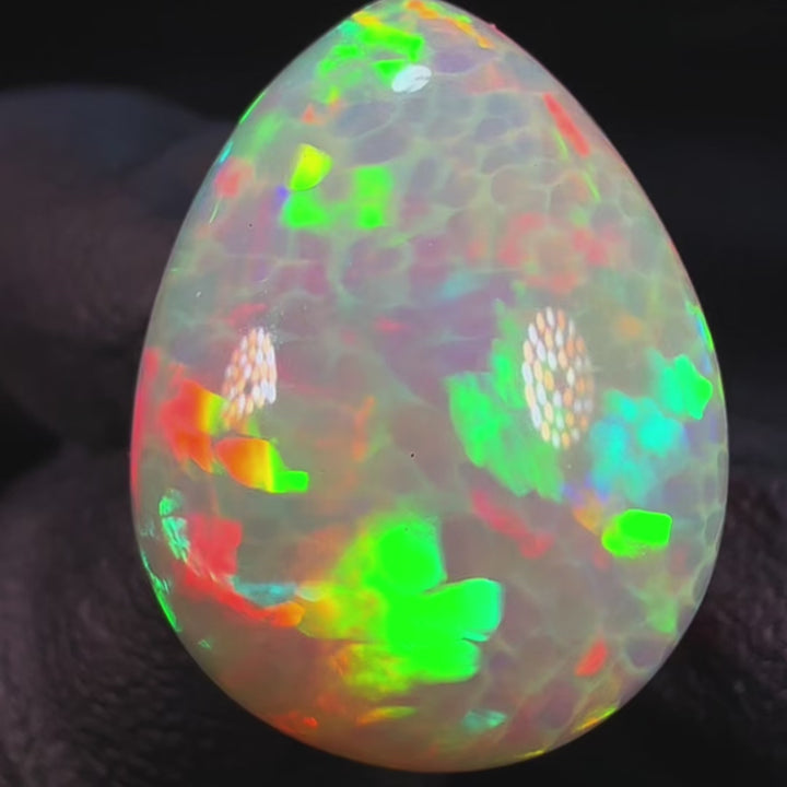14.57ct AAA quality Natural Ethiopian Welo Opal – Pear Cabochon – Neon Green, Fiery Red & Electric Blue Fire – Honeycomb Cell Pattern – AAA Collector Grade