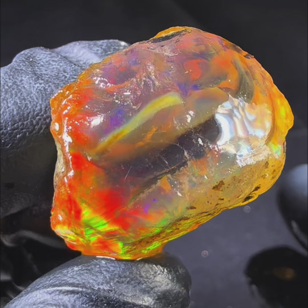 16.64 gr Natural Ethiopian Welo Water Opal – Dominant Electric Blue, Neon Green & Golden Honey Fire – Raw Water Opal – One-of-a-Kind Collector Grade